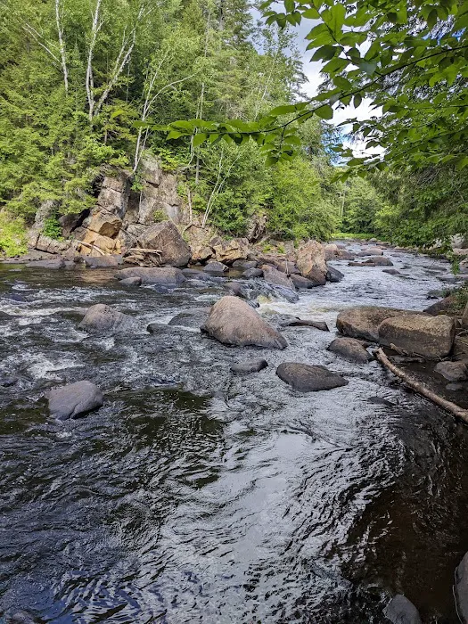 Wilderness Campsite 8