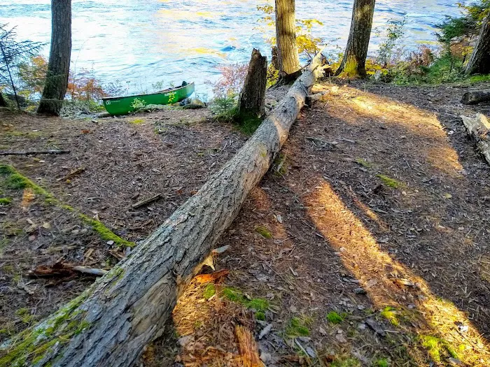 Wilderness Campsite 6