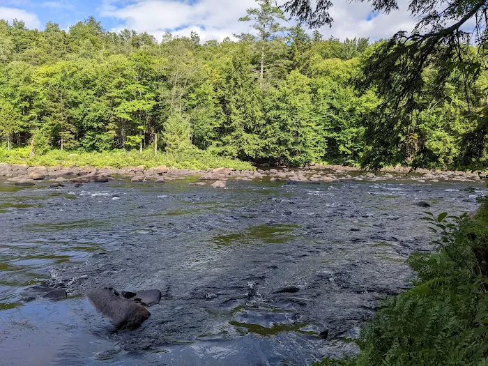 Wilderness Campsite 1