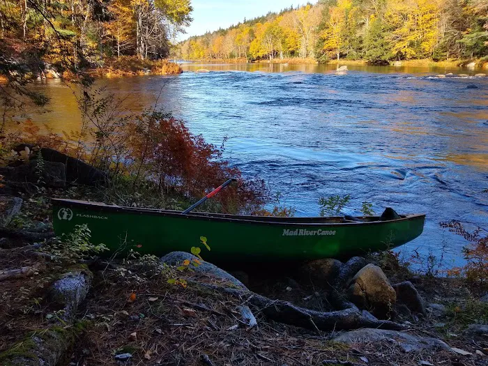 Wilderness Campsite 4