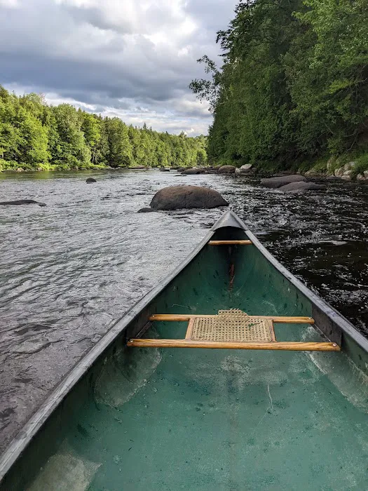 Wilderness Campsite 7