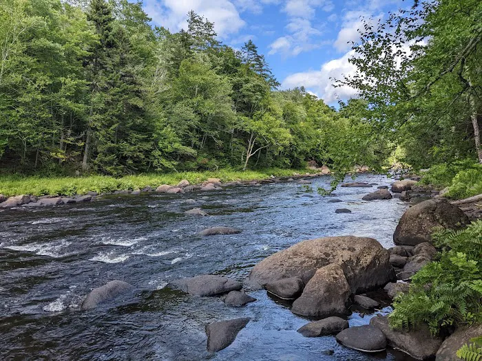 Wilderness Campsite 5