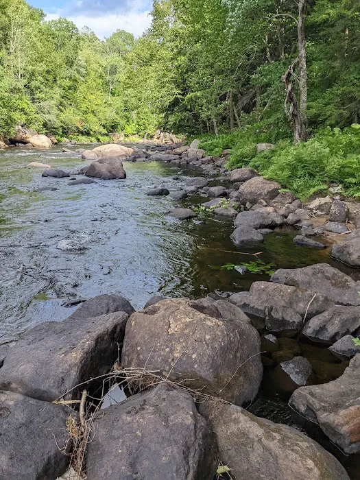 Wilderness Campsite 2