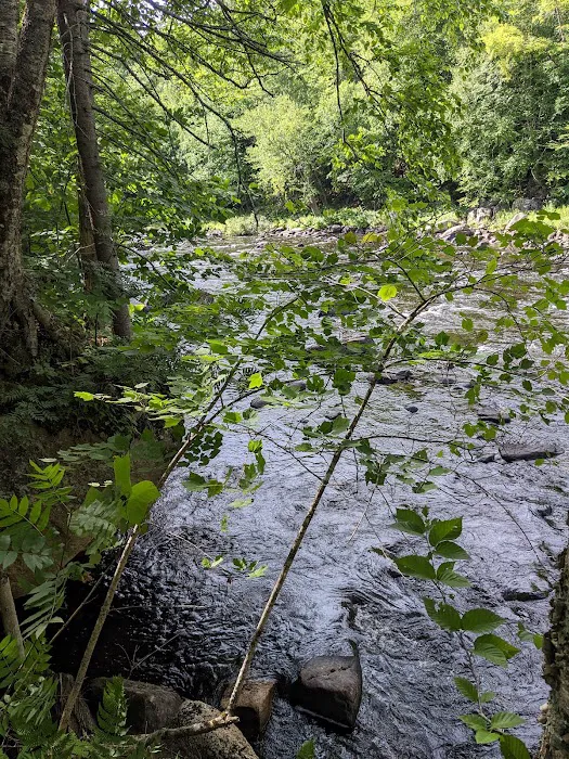 Wilderness Campsite 9