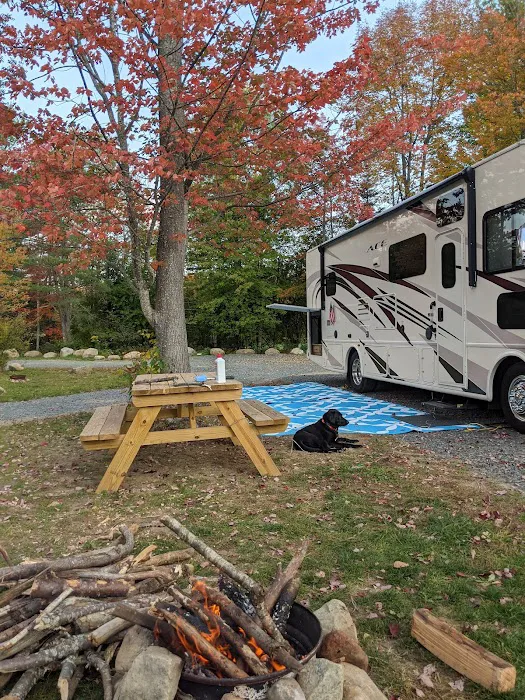 Thornbush Acres RV Park 3