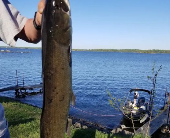 Davis Country Cabins