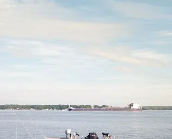 Swan Bay Estates & Marina