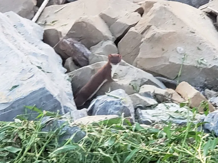 Sargent's on Swan Bay 1