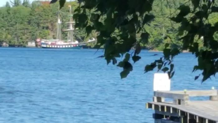 Bartons & Healys Trailer Park 4