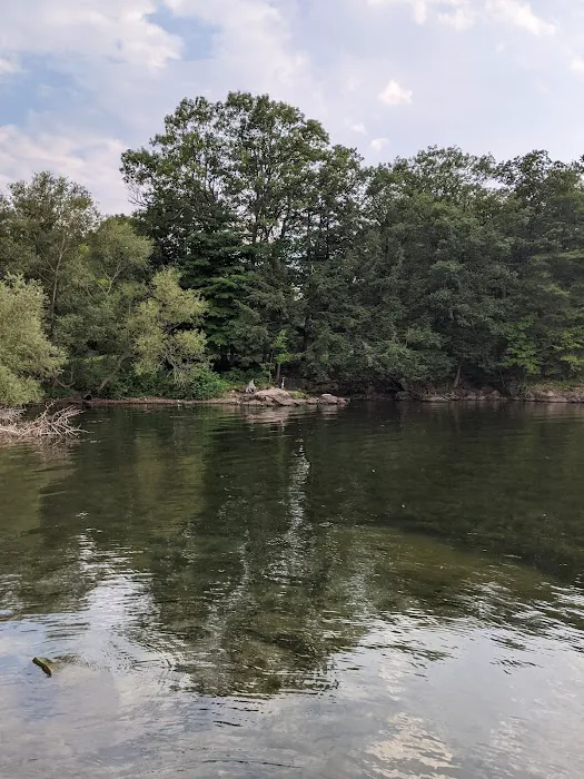 Wellesley Island State Campground 7