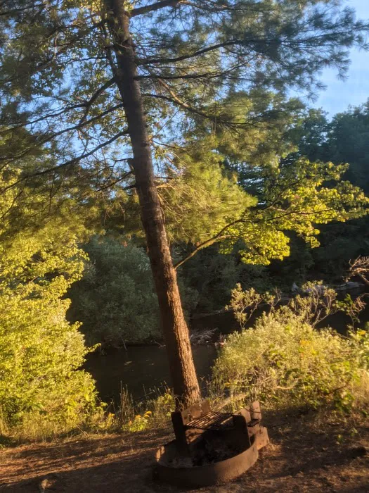 Wellesley Island State Campground 8