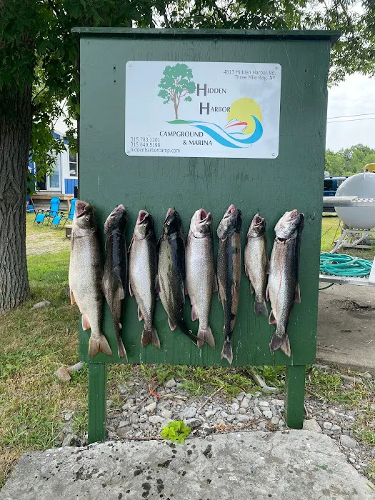 Hidden Harbor Campground and Marina 8