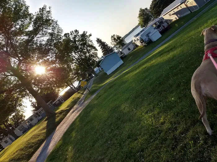 Maloney's Trailer Park 2