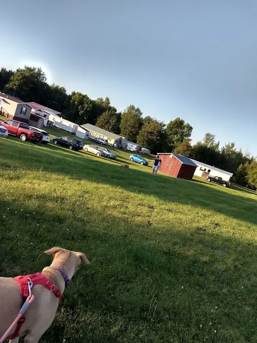 Maloney's Trailer Park 5