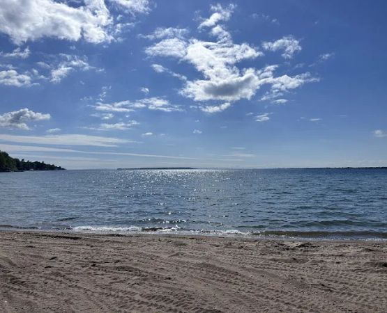 Maloney's Trailer Park