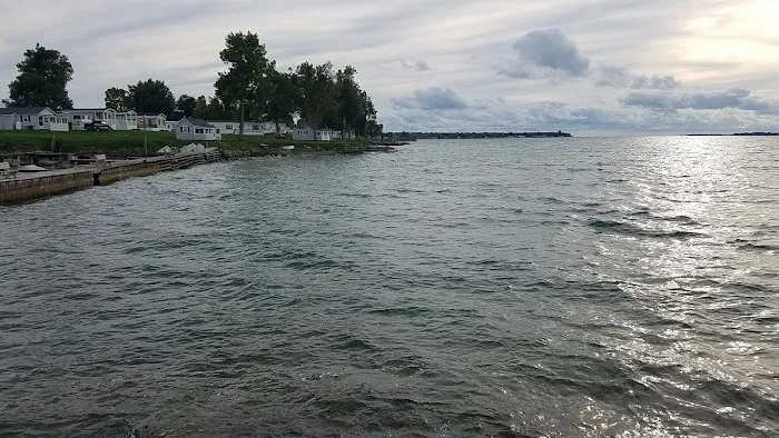 Willow Shores Corporation 8