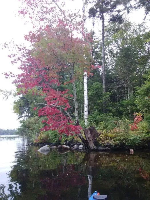 Lake Durant Campground 7