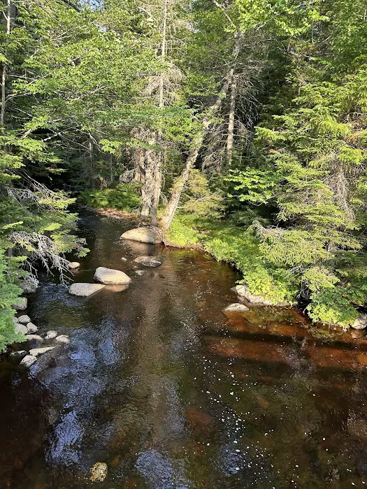 Lake Durant Campground 9