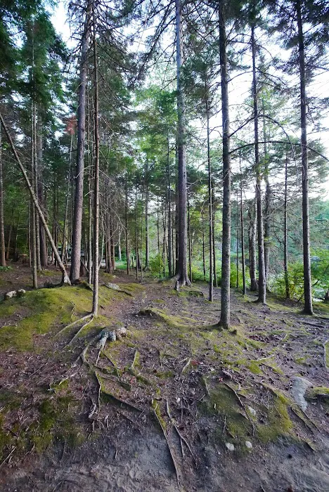 Lake Durant Campground 5