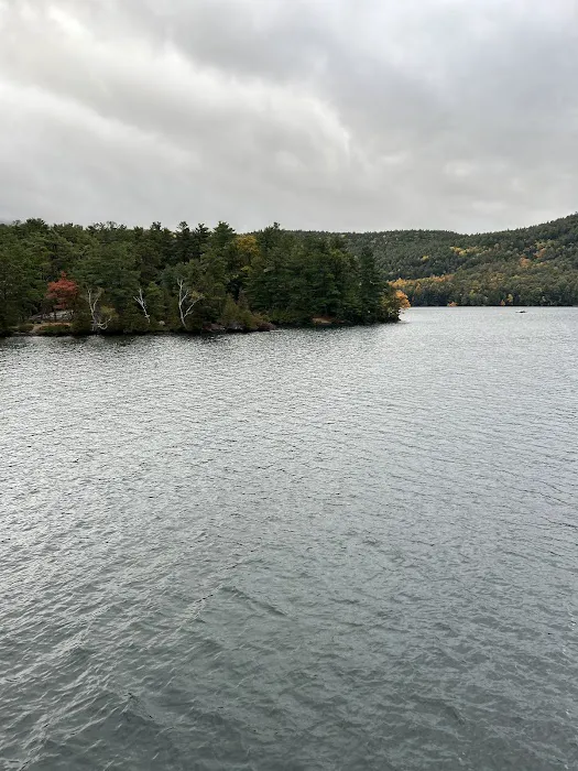 Brush Island Campground 9