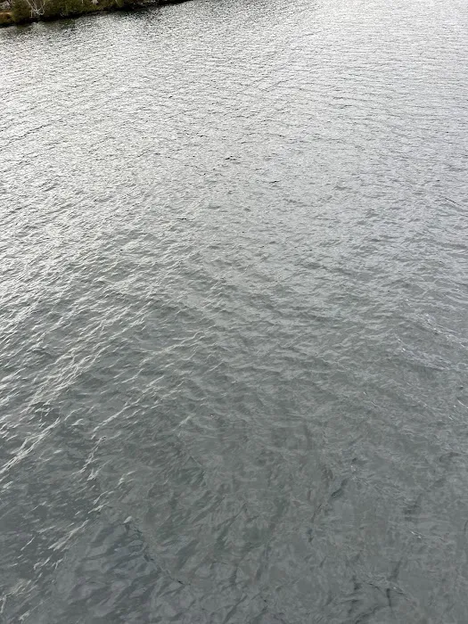 Brush Island Campground 4