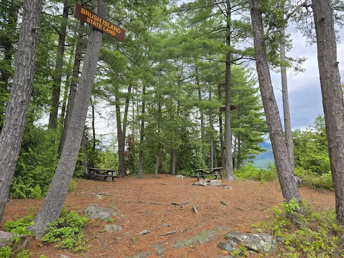 Brush Island Campground 7