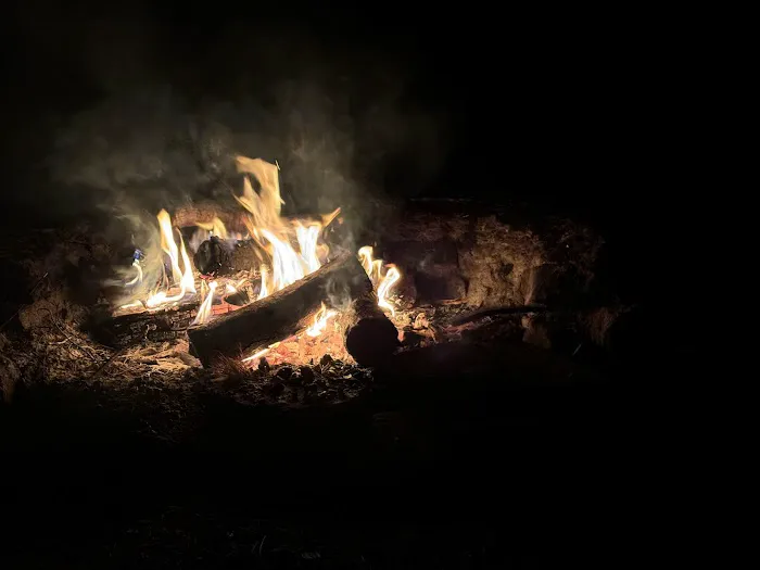 Brush Island Campground 5