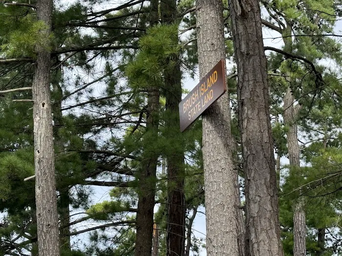 Brush Island Campground 8