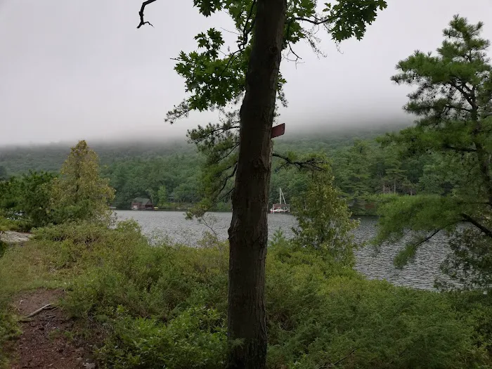 Bass Island Campsite 1 3