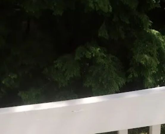 Mascoma Lake Campground