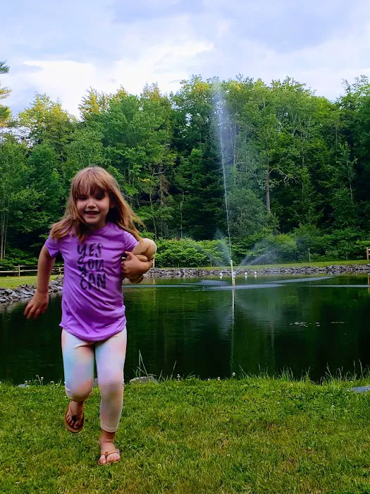 Rest-N-Nest Campground 5