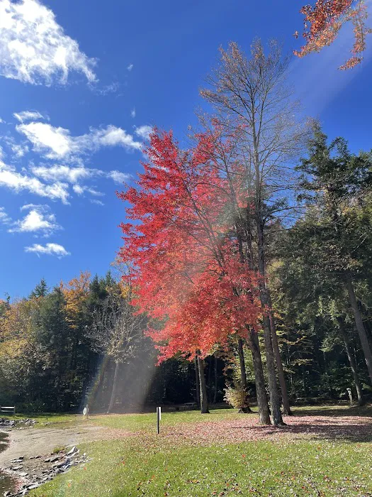 Rest-N-Nest Campground 6