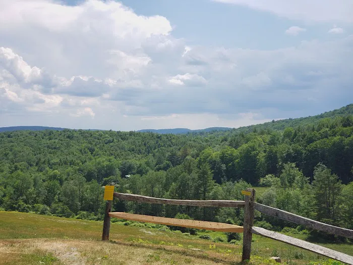 Rest-N-Nest Campground 1