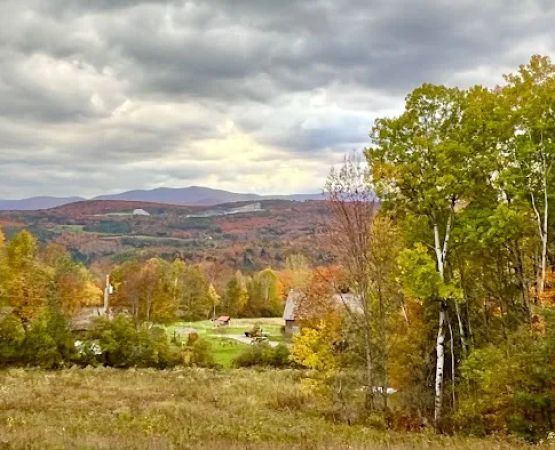 Four Springs Farm & Campground