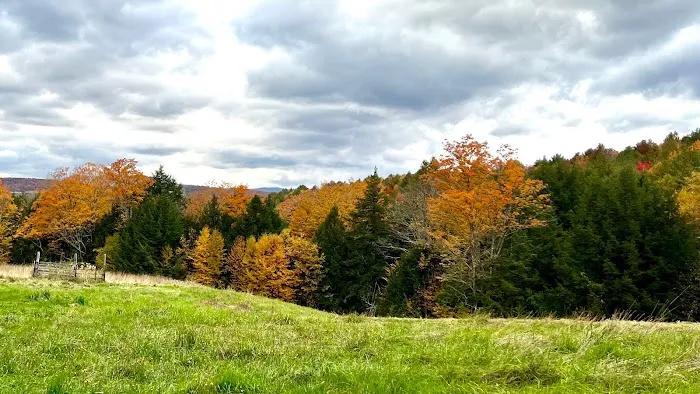 Four Springs Farm & Campground 8