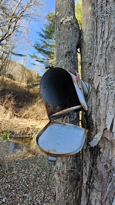 Connecticut River Paddlers Campsite 3