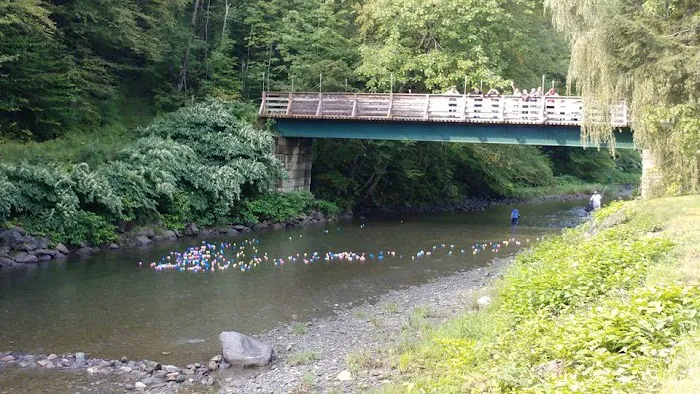 Abel Mountain Campground 3