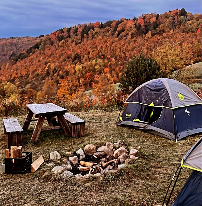 Free Verse Campground 2