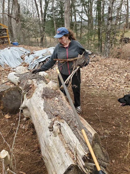 Grandmother Pine Tent Deck 6