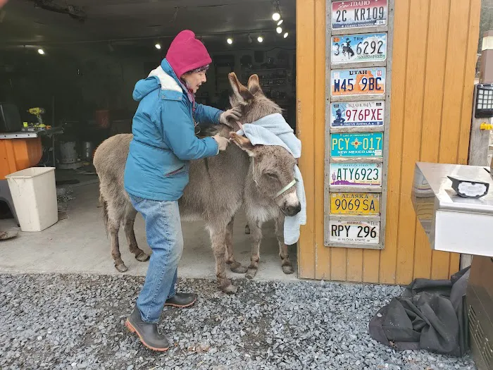 Buddha North Tent Deck 5
