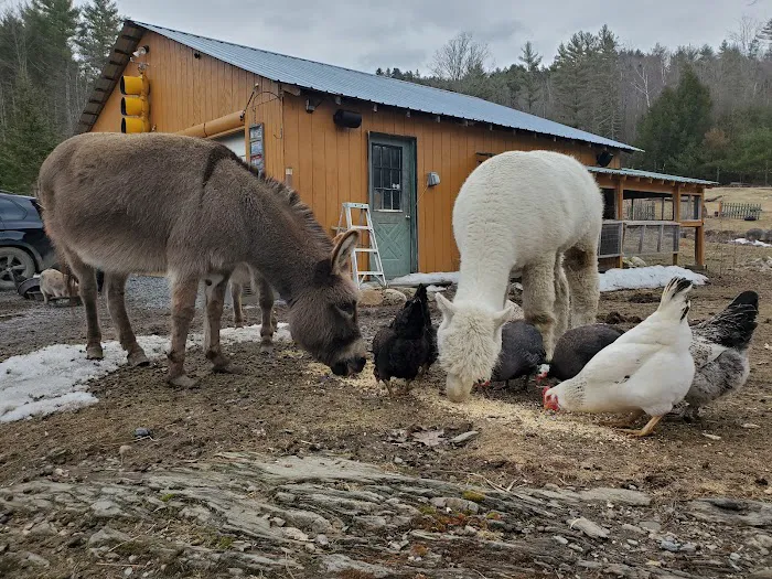 Buddha North Tent Deck 2