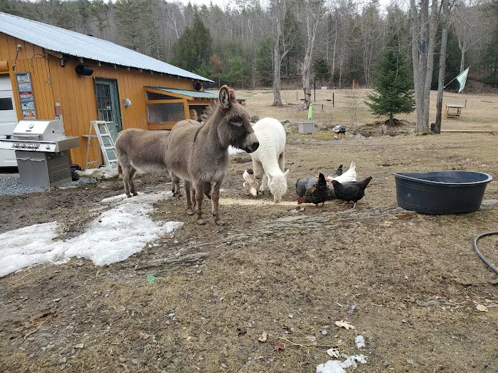Buddha North Tent Deck 3