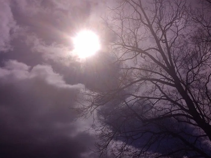 Watermelon Park & RV Campground 7