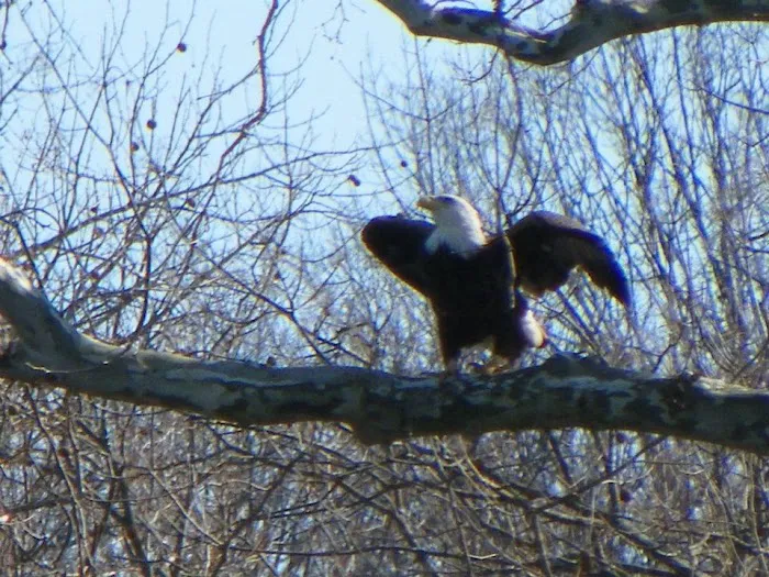 Watermelon Park & RV Campground 3