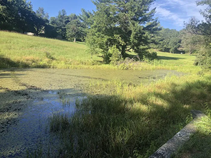 Mountain Lake Campground 6