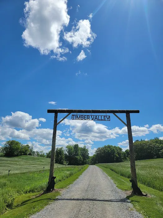 Glamping Clear Spring Maryland 3-Cabin Campground 4