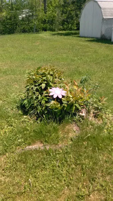 Greendown Acres Manufactured Home Community 6