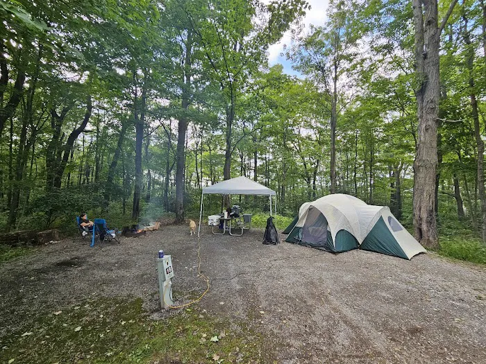 Blue Knob State Park Campground 2