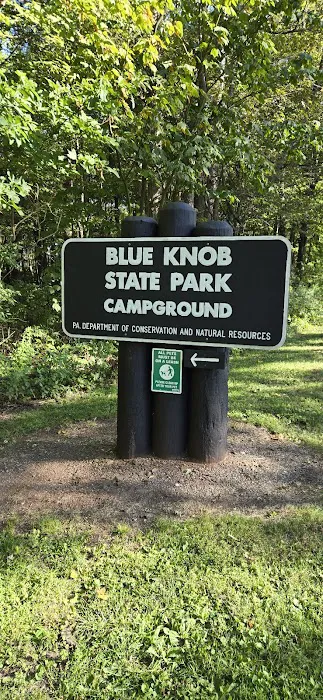 Blue Knob State Park Campground 6