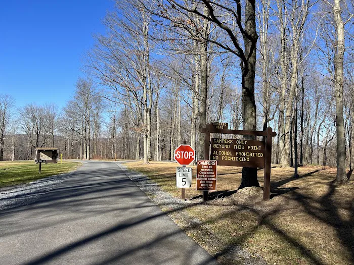 Blue Knob State Park Campground 1